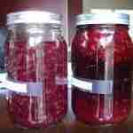 Liquore di Mirtilli Fatto in Casa Ricetta.