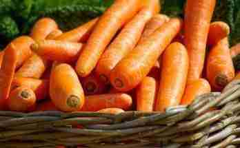Carote al naturale ricetta