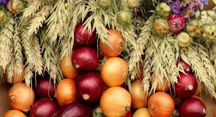Cipolline in agrodolce ricetta