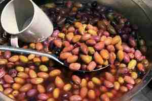 Fagioli alle verdure in vasetto ricetta
