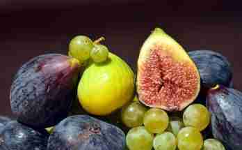 Vincotto vino cotto ricetta
