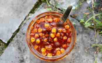 Sciroppo di olivello spinoso ricetta