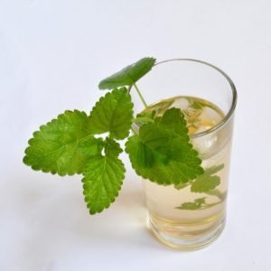Grappa di melissa ricetta